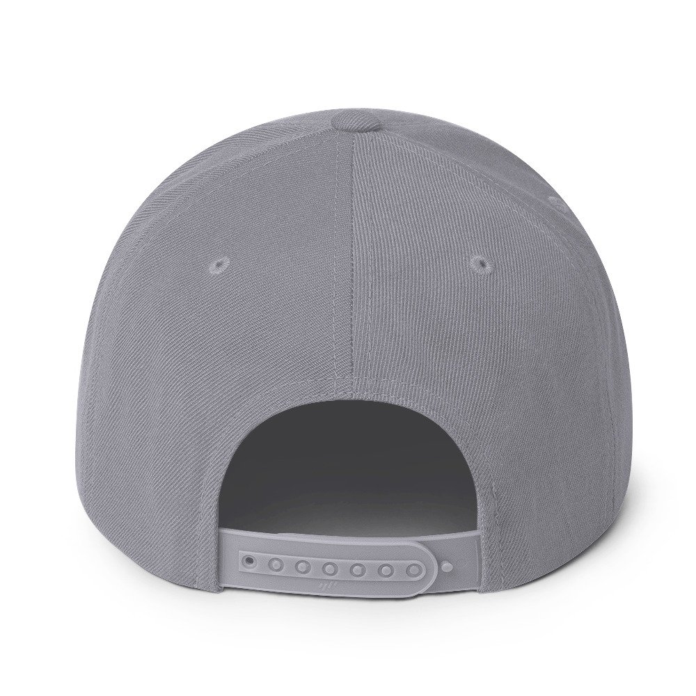 classic snapback silver back 6928c3bee9ebc