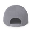 classic snapback silver back 6928c864bb2ee