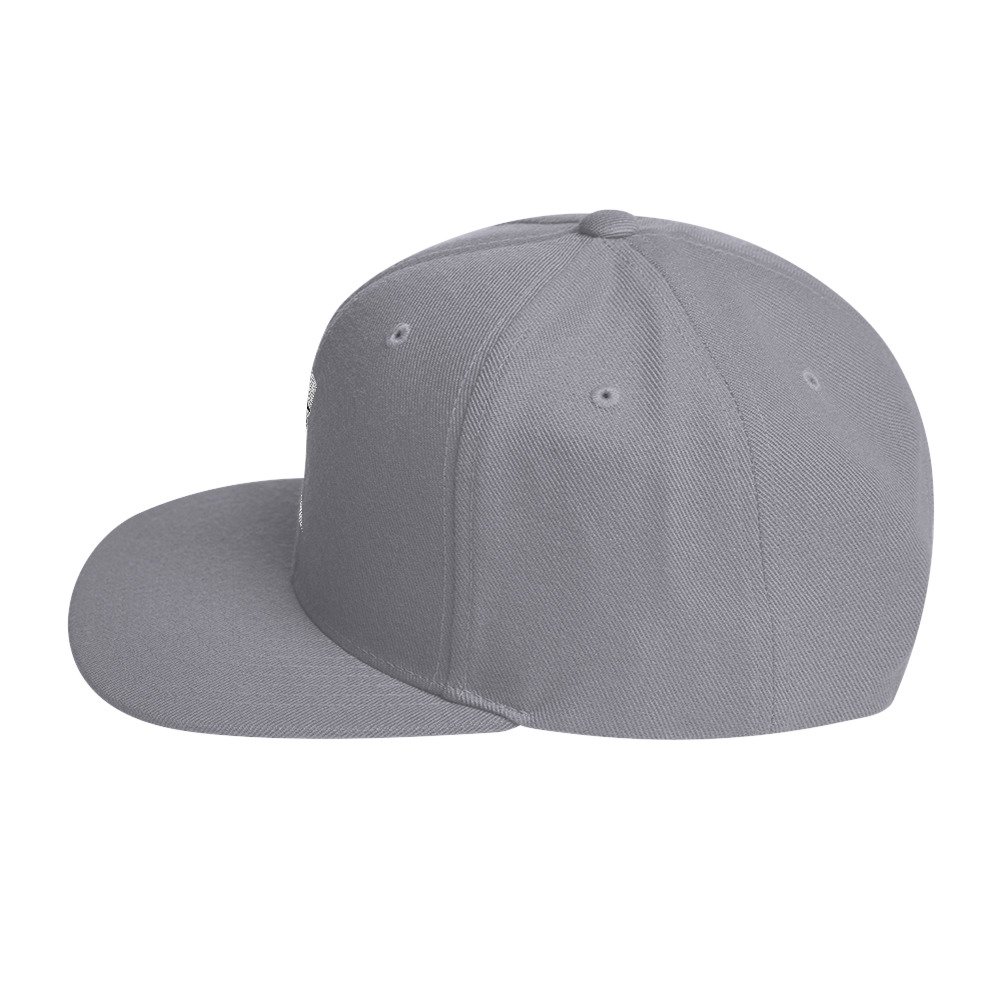 classic snapback silver left side 6928c3beead7a
