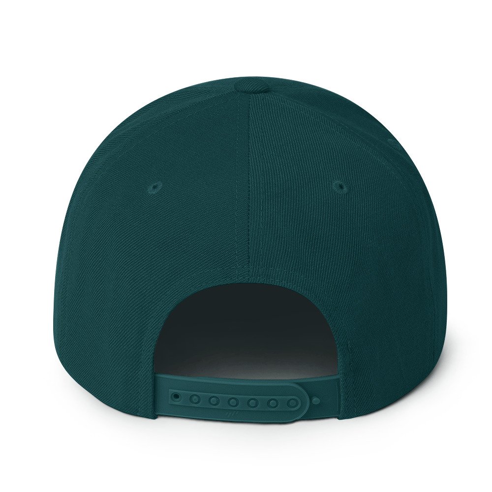 classic snapback spruce back 6928c3bedefa3