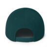 classic snapback spruce back 6928c864b6c84