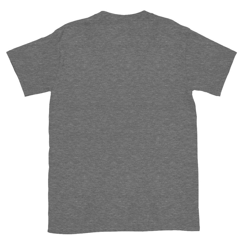 unisex basic softstyle t shirt graphite heather back 6929d99a204de