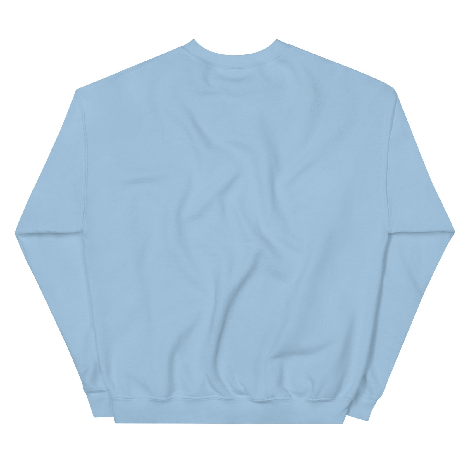unisex crew neck sweatshirt light blue back 6928935126d63