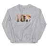 unisex crew neck sweatshirt sport grey front 6934e54fad839