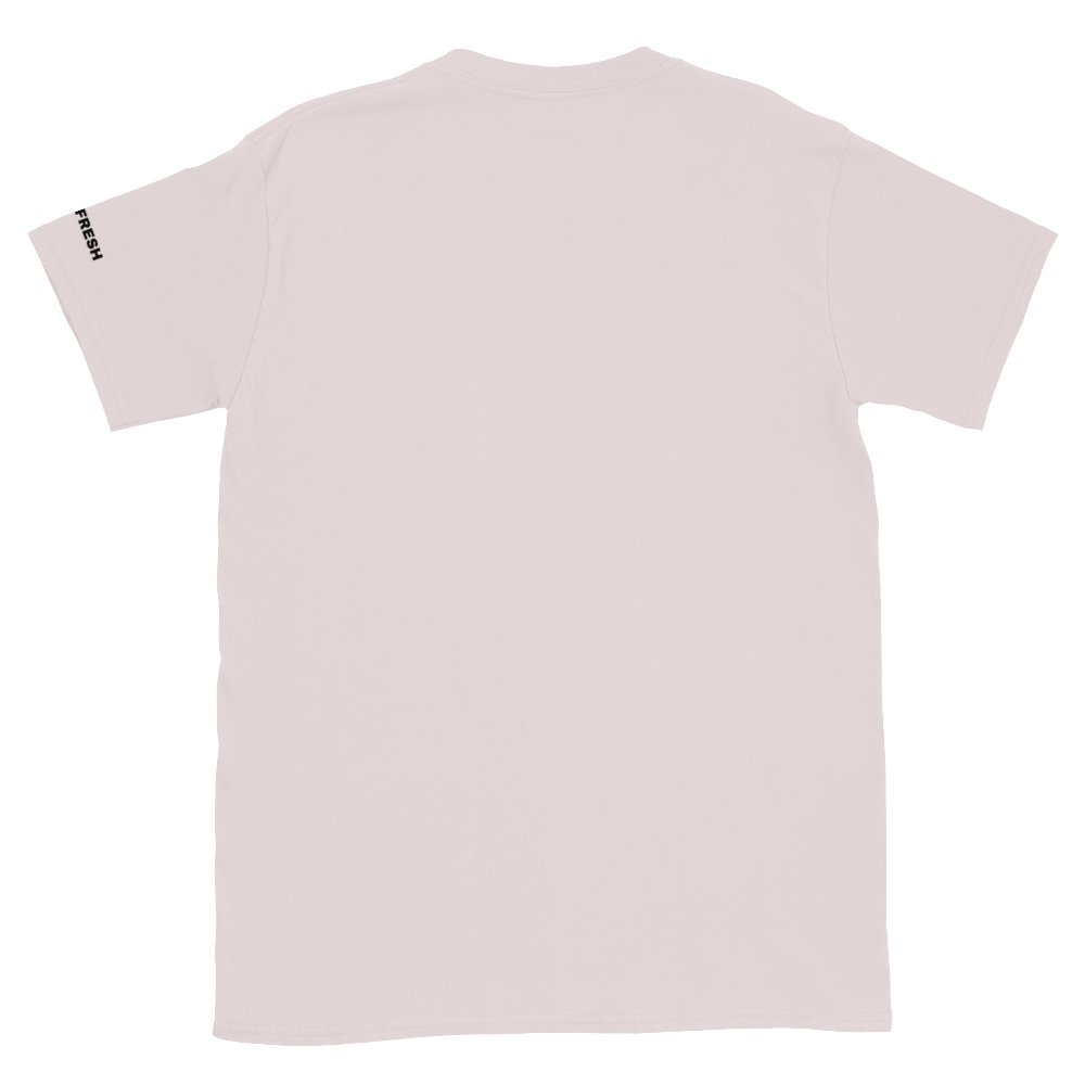 unisex basic softstyle t shirt ice grey back 69598f0184430