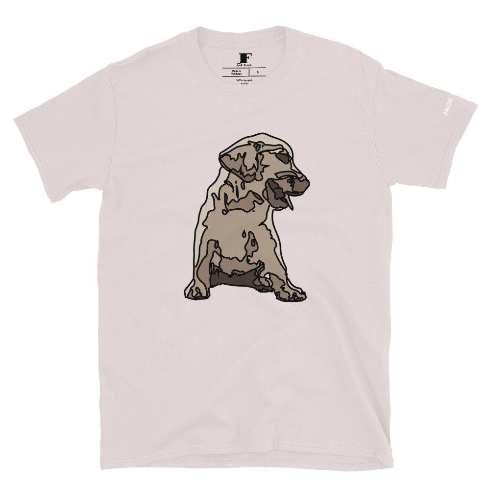 unisex basic softstyle t shirt ice grey front 695aaa521606a