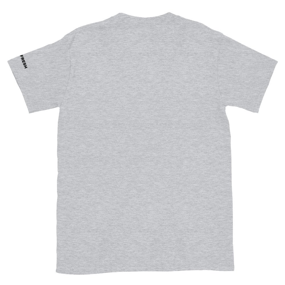 unisex basic softstyle t shirt sport grey back 695a9d9d893b3