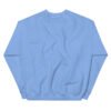 unisex crew neck sweatshirt carolina blue back 695989d7f0d53