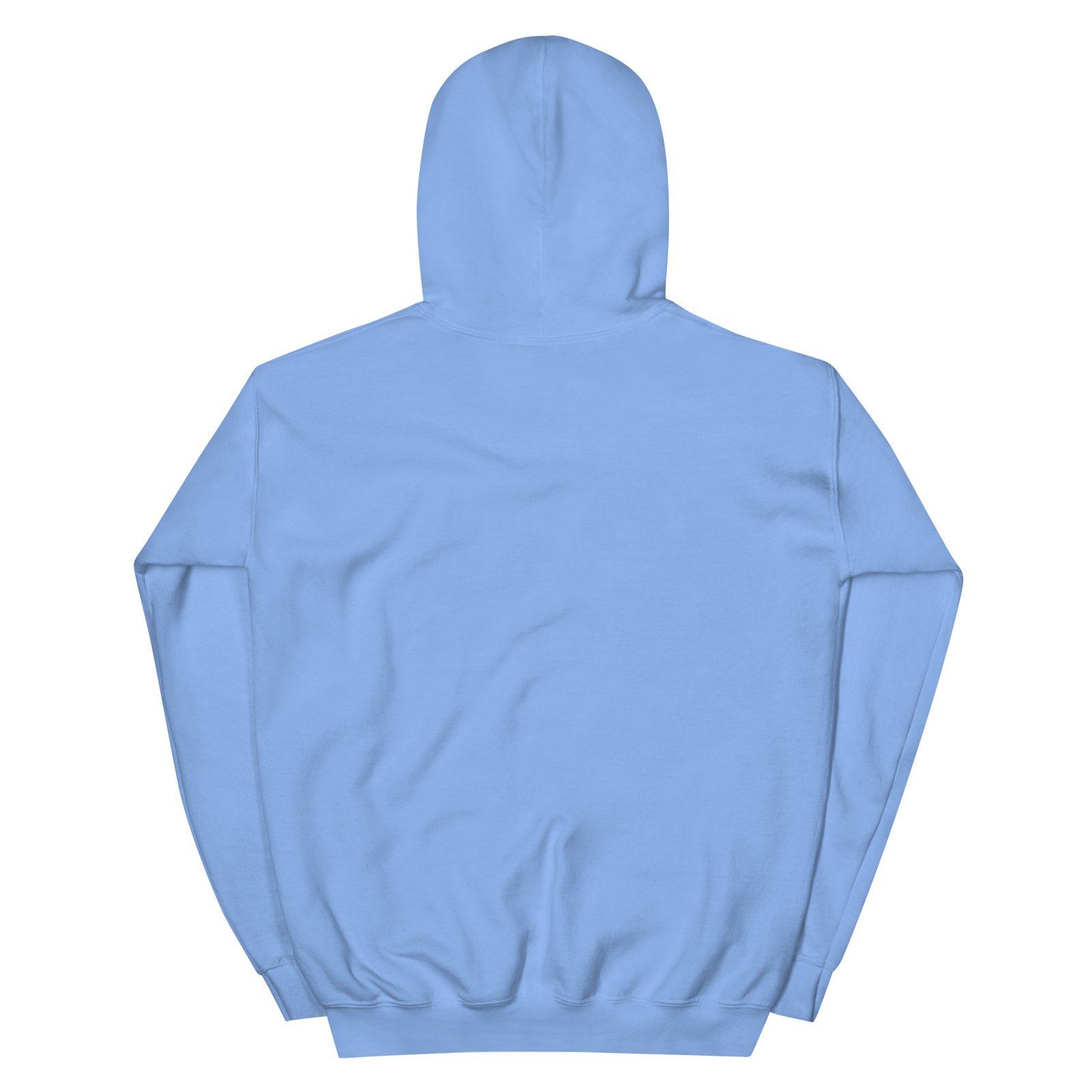 unisex heavy blend hoodie carolina blue back 695b0d2badf02