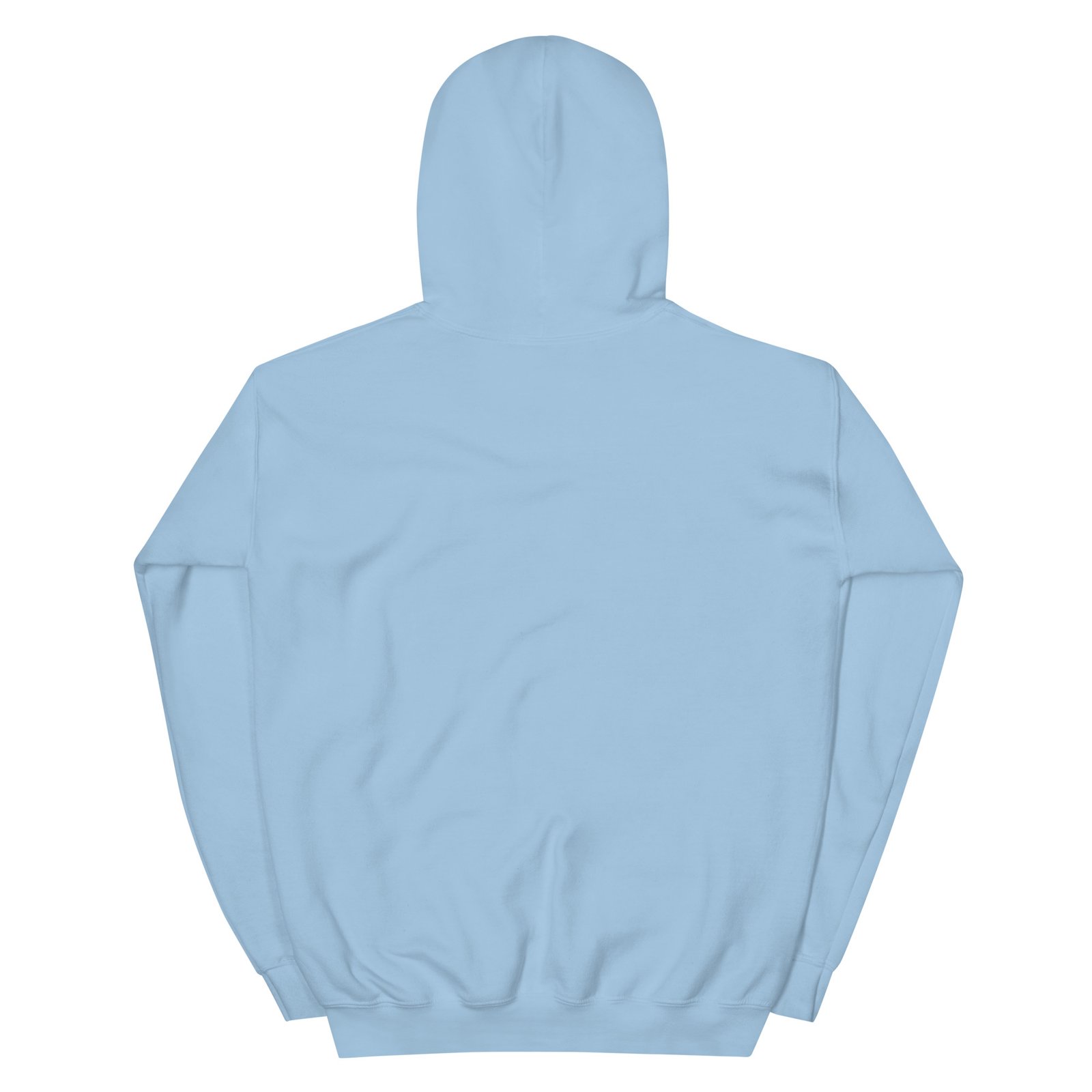 unisex heavy blend hoodie light blue back 695b0d2bbdfd8
